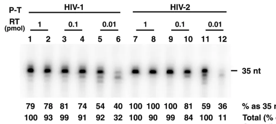 Figure 4 shows the results of a time course experiment that