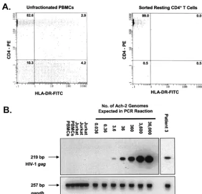 FIG. 1. Quantitative measurements of HIV-1 proviral DNA present in highly puriﬁed resting CD4�population in unfractionated PBMCs (left panel) and on an ungated sorted population of highly puriﬁed resting CD4CD4are shown