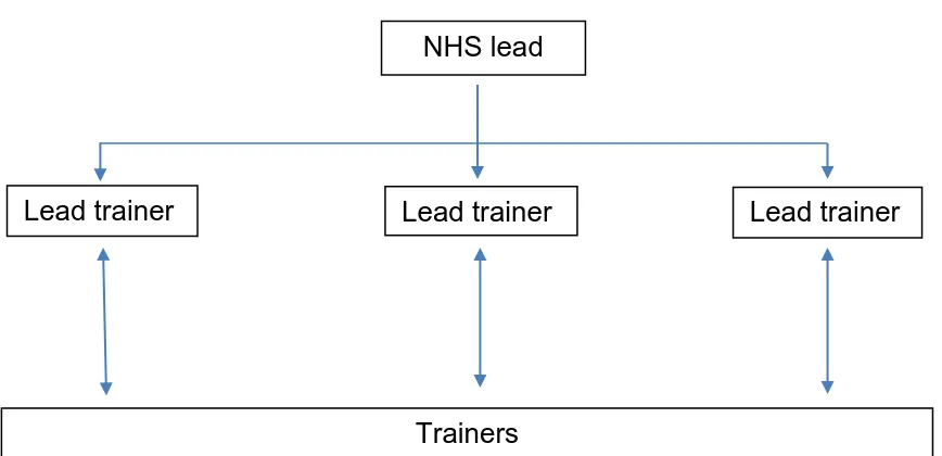 Figures 2, 3 and 4. Further detail on: funding source; key partners; number of schools who participated‟ pilot start and end dates; and number of trainers can be found in Table A1, appended