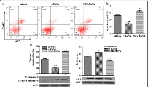 Fig. 4 The effects of n-EMVs and OGD-EMVs on astrocyte apoptosis and expression of cleaved Caspase-9 and Bcl-2