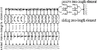 Figure 1. BNWF model 
