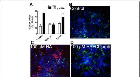 Figure 2 HA activates Hbar = 1001R to increase the number of clones with differentiated neurons