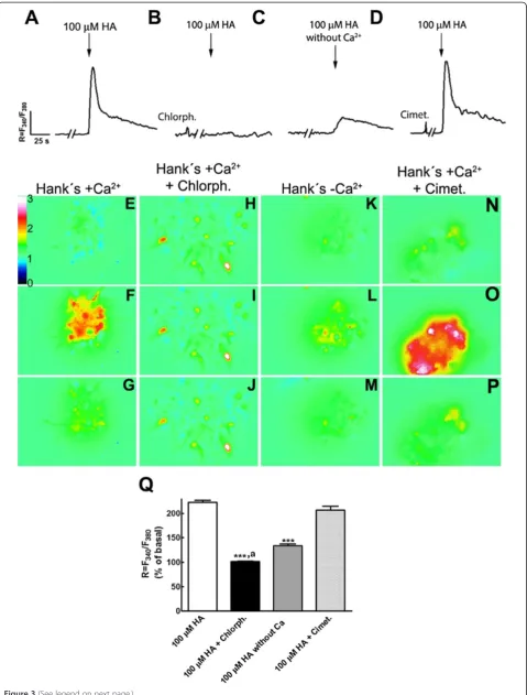 Figure 3 (See legend on next page.)