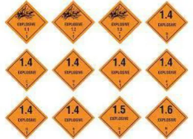 Figure 2.  Label used for Flammable Gases according to IMDG code  