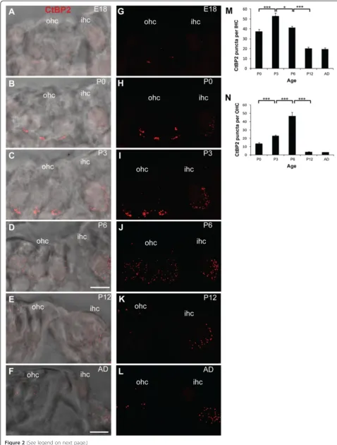 Figure 2 (See legend on next page.)