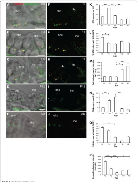 Figure 4 (See legend on next page.)