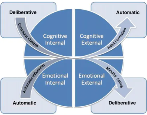 Fig. 1. Leveraging automatic and deliberative inﬂuences to advance FWB.