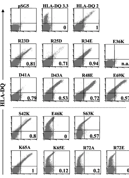 FIG. 4. The HLA-gp42 interaction sites at class II glutamic acid residue 46 and arginine 72 are necessary for EBV coreceptor activity