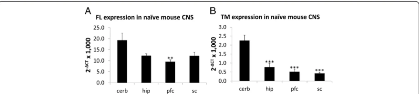 Fig. 6 RIC-3 expression in a mouse spleen cells, and b RAW264.7 cells at 0, 24 and 48 h following exposure to LPS