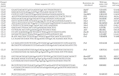 TABLE 1. Primers used for site-directed mutagenesis of UL34a