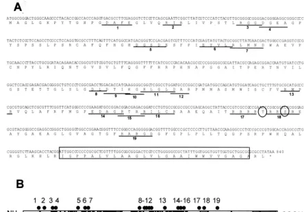FIG. 1. Locations of charged cluster mutations within the ULbrane domain (grey box), Udepiction of the sequence arrangement and location of charged clusters in the Upositions of charged cluster mutations