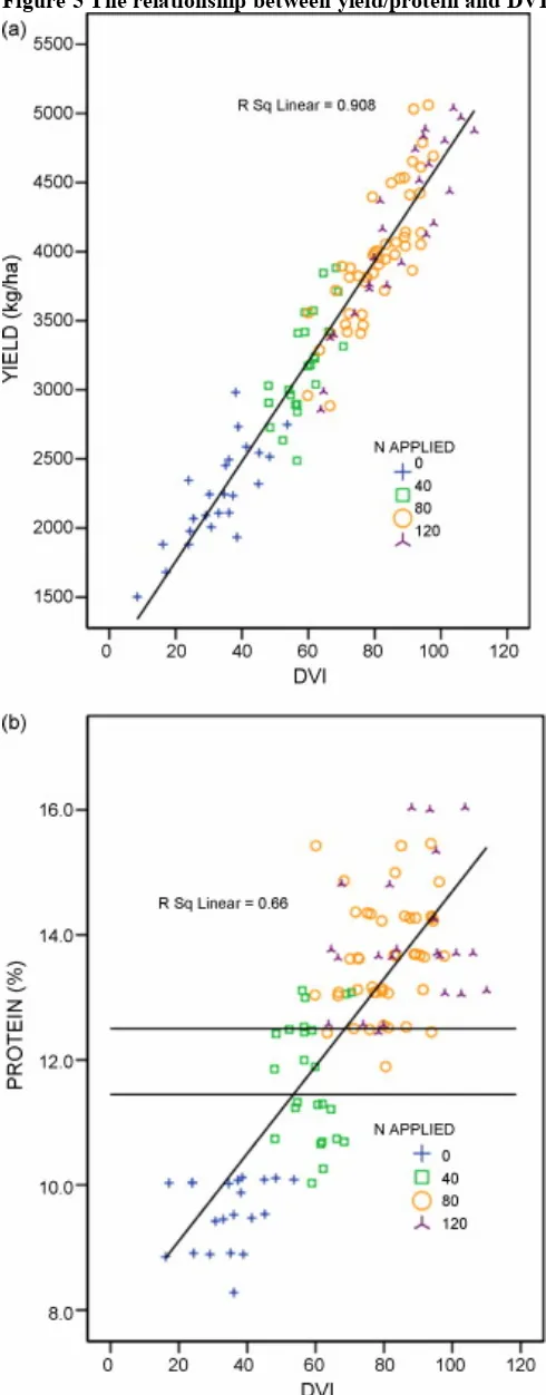 Figure 5 The relationship between yield/protein and DVI for the various amounts of N applied (kg/ha)