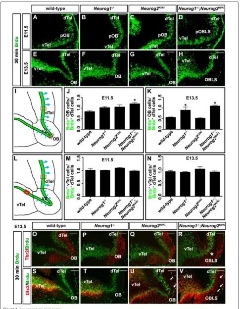 Figure 5 (See legend on next page.)
