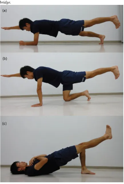Figure 1. Trunk stabilization exercise program for this study: 