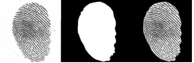 Figure 1. Fingerprint image [2] and its manual segmentation. 