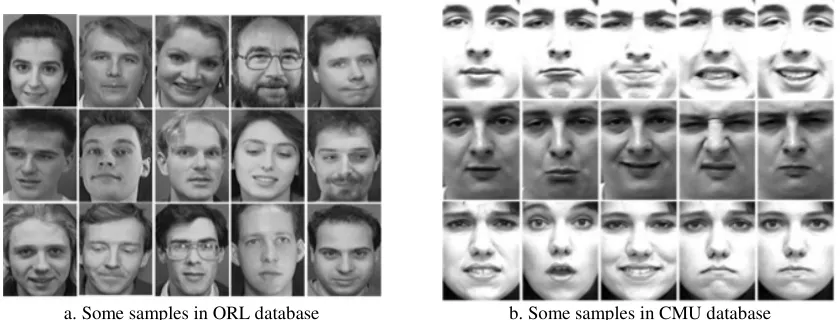 Figure 6. Some samples in ORL and CMU face databases. 