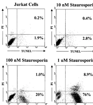 FIG. 7. Assay for detecting cytotoxicity. Jurkat T lymphocytes were stained with propidium iodide (PI) and by TUNEL and analyzed byﬂuorescence-activated cell sorting