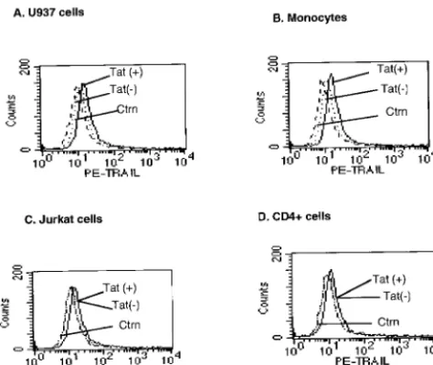 FIG. 4. HIV Tat only slightly increases membrane-associatedTRAIL expression in U937 cells and monocytes