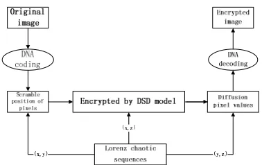 Figure 1. Generate secret key by DSD model.            Figure 2. Block diagram for the image encryption algorithm