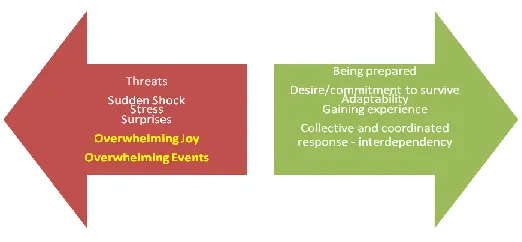 Figure 1: Characteristics of resilience 