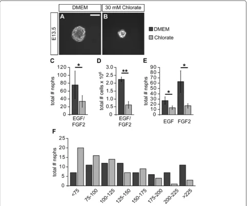 Figure 3 Sodium chlorate affects clonal neurosphere formation from primary spinal cord cells