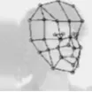 Figure 3. Face in front of Chart wheels.                                Figure 4. Left view diagram of face