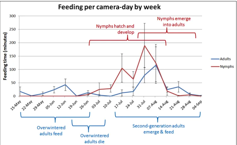 Figure 8. Minutes ± SE of L. occidentalis feeding per camera-day for each week of the summer