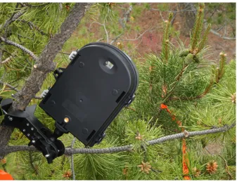 Figure 3. Time-lapse camera aimed at an unbagged cone cluster.