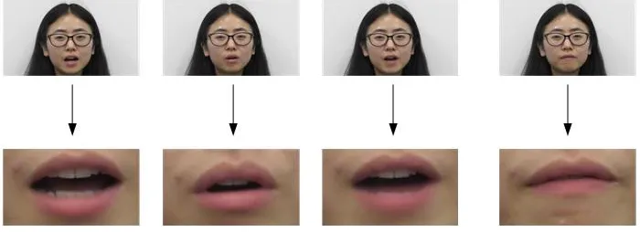 Figure 1. Lip reading system. 