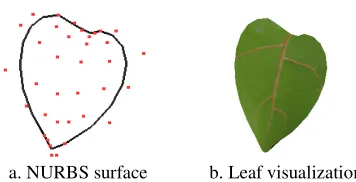 Figure 2. 3D visualization of hardwood seedlings based on NURBS. 