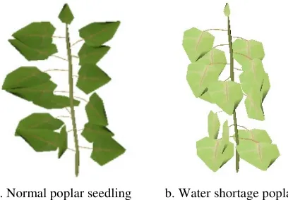 Figure 3. 3D visualization of poplar. 