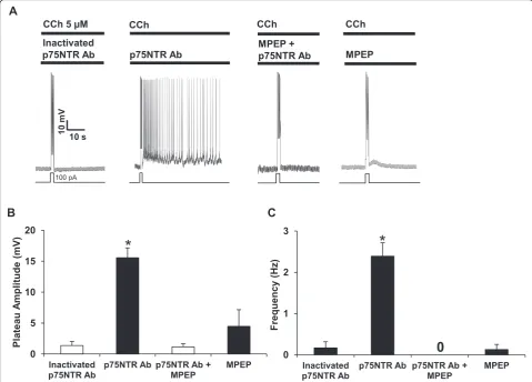 Fig. 8potential amplitudes and firing frequencies of persistent activity in different conditions