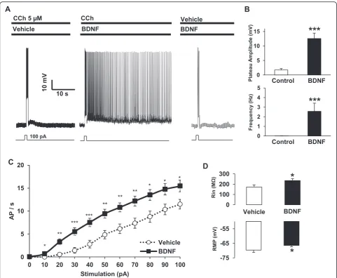 Fig. 1 BDNF facilitates persistent firing and increases excitability of EC layer V pyramidal neurons.Whitney test) and frequency (***(CCh,with BDNF (50 ng/ml) facilitates persistent activity in presence of CCh ( a BDNF (50 ng/ml, n = 6) or sub-threshold ca