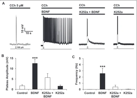 Fig. 2 TrkB mediates the BDNF-induced facilitation of persistent firing. a Incubation with K252a (200 nM) 30 min before the BDNF treatment fullyblocks the induction of persistent firing whereas K252a alone has no effect on persistent activity