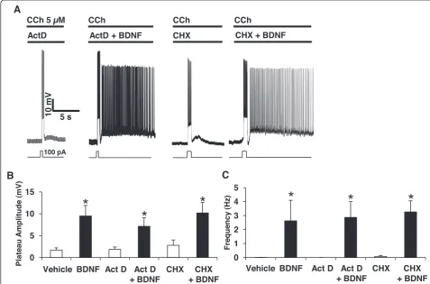 Fig. 3 Facilitatory effects of BDNF on persistent firing do not requireof plateau potential amplitudes ( de novo mRNA or protein synthesis