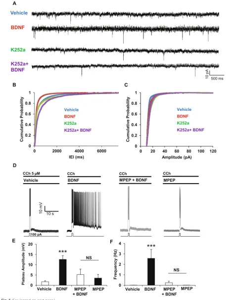 Fig. 5 (See legend on next page.)