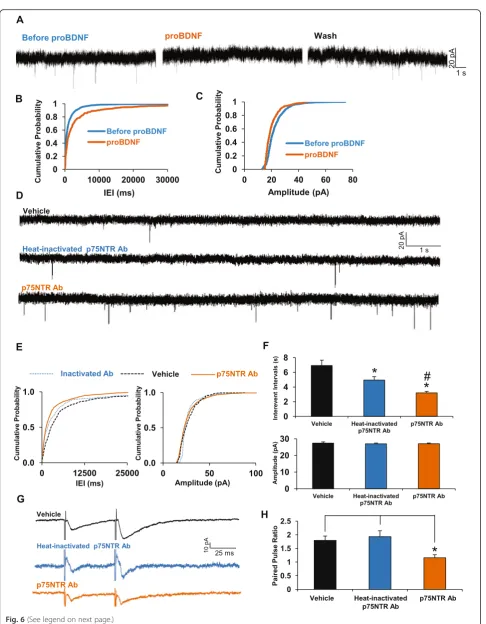Fig. 6 (See legend on next page.)