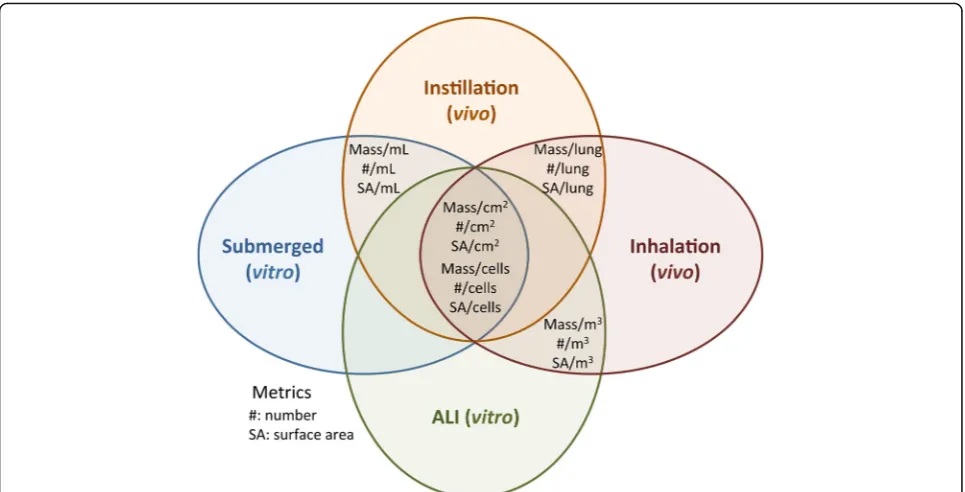 Fig. 3 Compatibility of the different dose metrics between in vivo and in vitro approaches