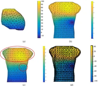 Figure 4. (a) Potential distribution on epicardial surface; (b) Reference potential distribu-tion on body surface; (c) Potential distribution on body surface calculated by a commer-
