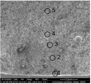 Figure 12: Five points chosen to be investigated with specimens cured under ambient condition  