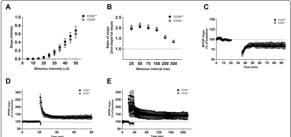 Fig. 3 Normal basal synaptic transmission and synaptic plasticity in CD38−/− mice. a Input–output relationships at Schaffer collateral-CA1 synapsesare comparable between CD38−/−and wild-type littermates (CD38+/+, n = 18; CD38−/−, n = 12)