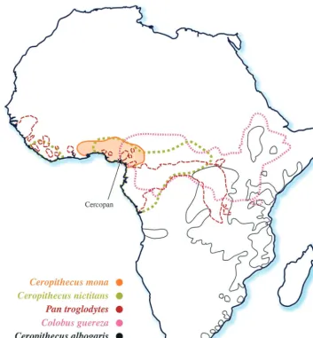 FIG. 1. Map of Africa showing the natural ranges of the mona monkey, Cercopithecus monanictitansobtained from the study by Rowe (36) and from an online source (http://gorilla.bio.uniroma.it/)