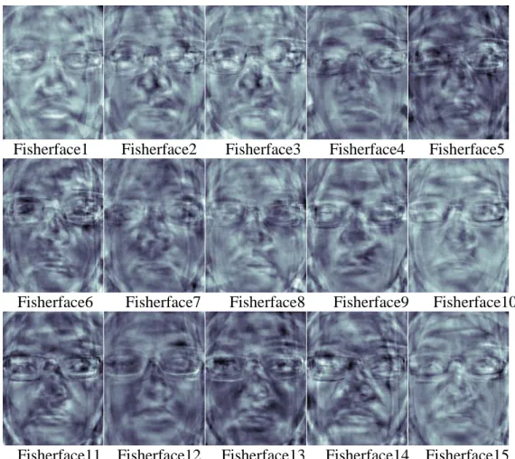 Figure 2.8 Fisherfaces 