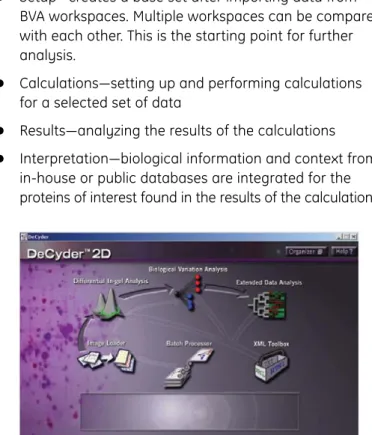 Fig 1. DeCyder 2-D startup screen showing the analysis workflow.