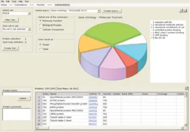 Fig 8. Interpretation screen with a Gene Ontology query shown.