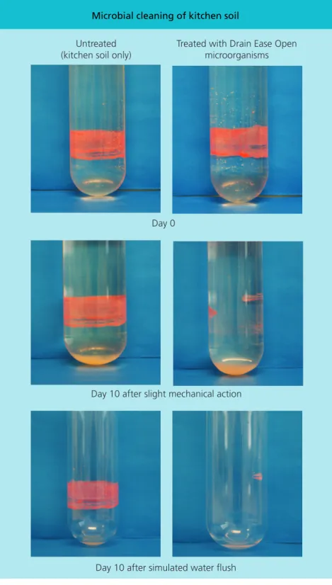 Fig. 2.	Kitchen	soil	was	stained	red	and	treated	with	Drain	Ease ™ 	Open	 microorganisms.	After	10	days	the	medium	was	evacuated,	simulating	a	water	 flush.	The	control	without	treatment	(left)	shows	no	change,	while	the	treated	 sample	(right)	shows	almos