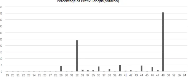 Figure 1. IPv6 address prefix length distribution in core router. 