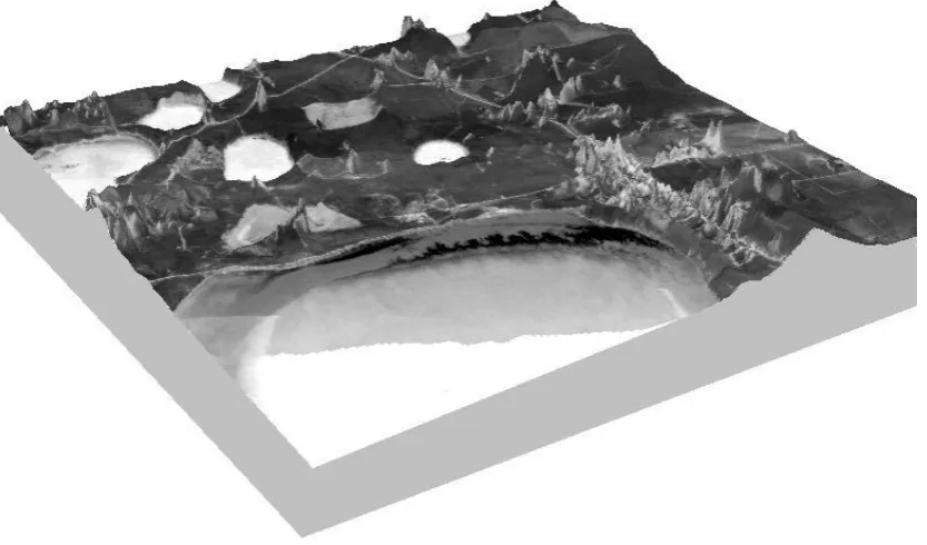 Figure 4.  3D visualization of an orthorectified aerial photograph depicting part of the study area
