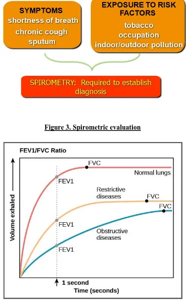 Figure 3. Spirometric evaluation