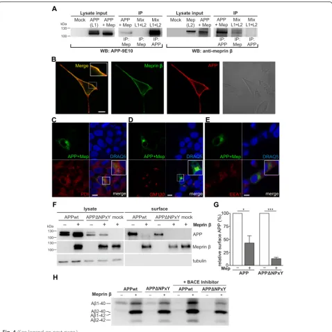 Fig. 4 (See legend on next page.)